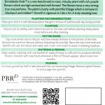 Plant Swing Tag showing Plant Breeders Rights Symboll